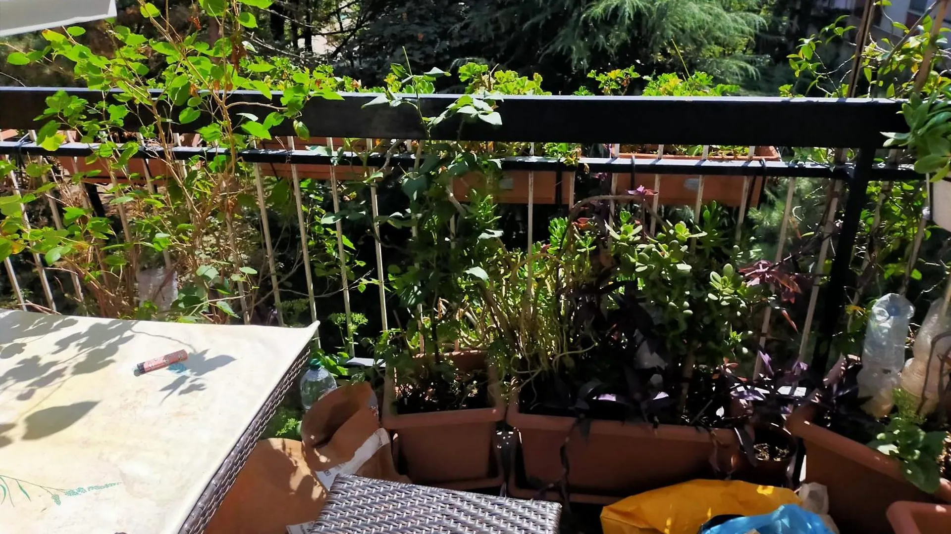 Homestay Focolare Domestico Milan